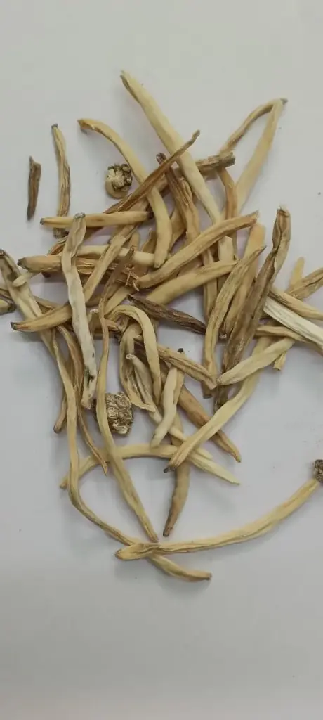 SAFED MUSLI POWDER - 100 gm