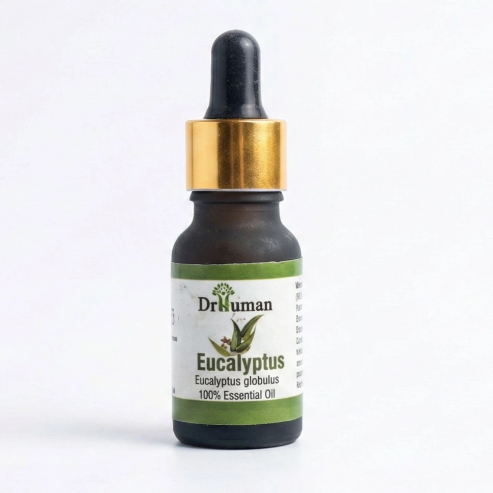 EUCALYPTUS OIL