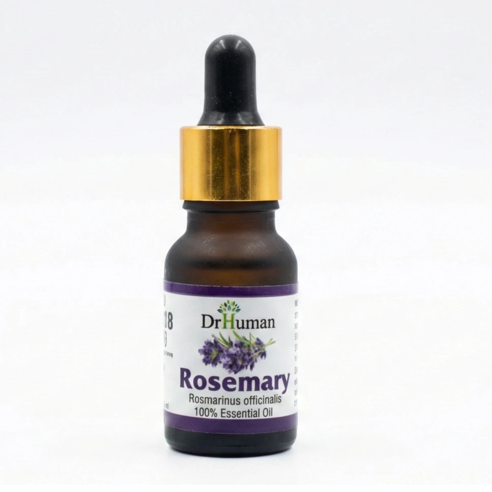 ROSEMARY OIL - 10 ML