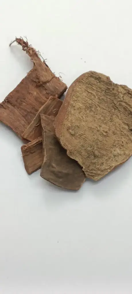 ARJUN POWDER - 100 gm